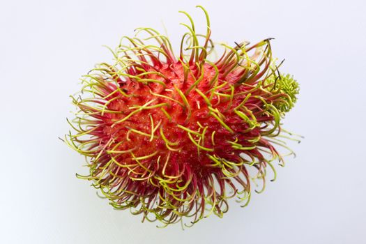Thai Rambutan