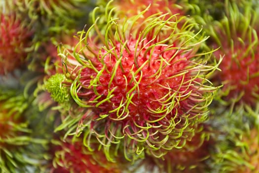 Thai Rambutans