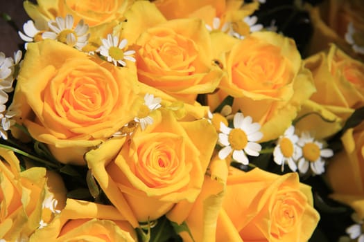 Yellow rose and matricaria bouquet in full sunlight