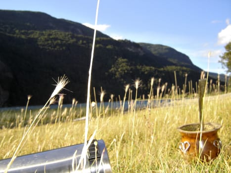 Patagonia. Argentina. Mate tee.