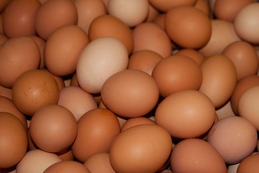 Farm Fresh Eggs, Organic and Natural.