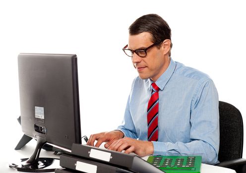 Portrait of an accountant working on computer in office
