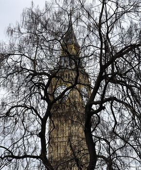 Big Ben trying to hide behind a tree, art. Concept photo. 