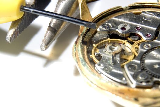 The mechanism of old watches on white background