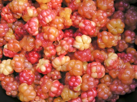 Fresh cloudberry background closeup 