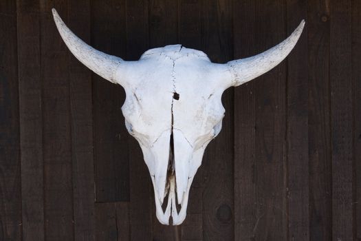 A steer skull with a bullet hole through it.  could even represent drought in the old west.