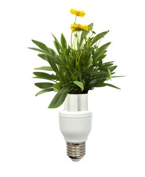 green energy with light bulb and nature