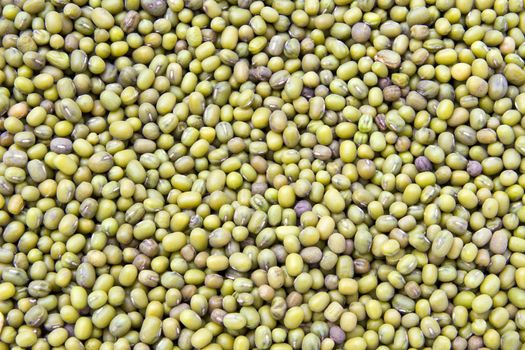 Mung bean ( green bean)  background