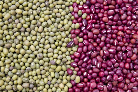 Red and green bean background