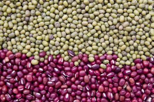 Red and green bean background