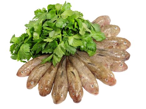 Fresh fish row and green celery isolated on a white background.