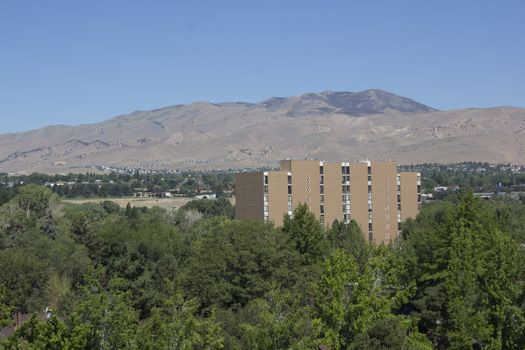 a large building in the trees. aerial shot.