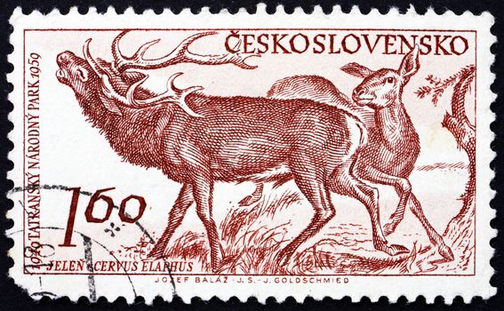 CZECHOSLOVAKIA - CIRCA 1959: a stamp printed in the Czechoslovakia shows Red Deer, Cervus Elaphus,  10th Anniversary of Tatra National Park, circa 1959