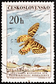 CZECHOSLOVAKIA - CIRCA 1961: a stamp printed in the Czechoslovakia shows Southern Festoon, Butterfly, Zerynthia Hypsipyle Schulze, Zerynthia Polyxena, circa 1961