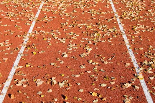 Running track