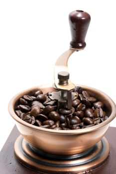 Fresh roasted coffee beans in the manual coffee grinder on white background