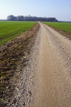 Rural gravel road between agricultural fields. Natural background landscape.