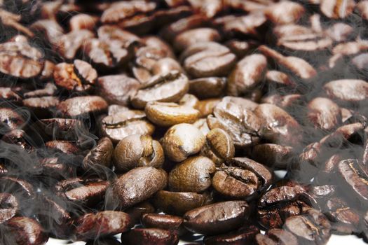 Fresh roasted coffee beans on a white background