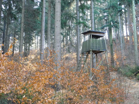 Photo of a hunting Tower in the forest in the spring.