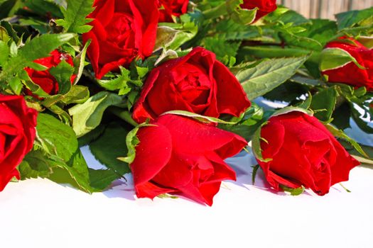 Bouquet of beautiful red roses on white
