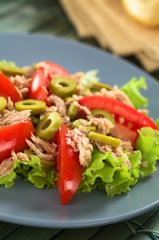 Fresh tuna, tomato and green olive salad served on lettuce leaf on blue plate (Selective Focus, Focus on the front of the olive in the middle of the salad) 