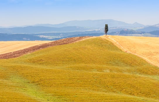 Summer season in Tuscan country, close to Siena