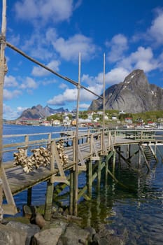 Wooden pier in town of Reine on the coast of fjord on Lofoten islands