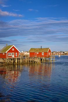 Red fishing rorbu huts by the fjord in town of Reine on Lofoten islands