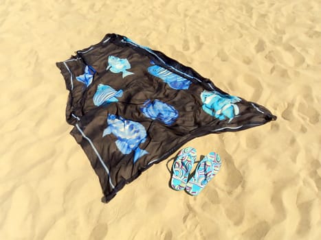 Image of varicoloured feminine schists on beach