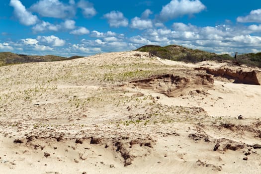 sand dunes in Zandvoort aan Zee under beautiful sky