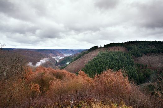 forest on mountains in autumn with clouded sky