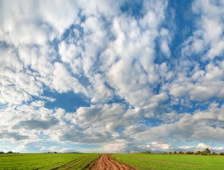 Green meadow under high blue sky with clouds