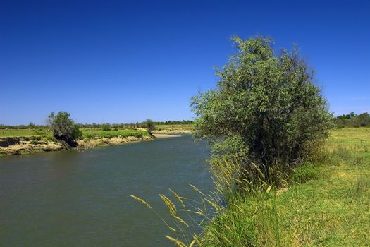 bend of the river with clean blue water and with a tree on a foreground