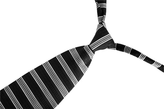 fashionable man's tie on a white background