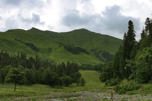 summer landscape with green trees on hills on a background of the blue sky