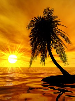 single palm on the uninhabited island on a brightly sunset
