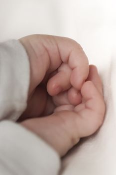 small hands of the sleeping baby on a white background