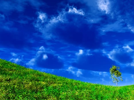 lonely standing tree on the slope of mountain on a background blue sky