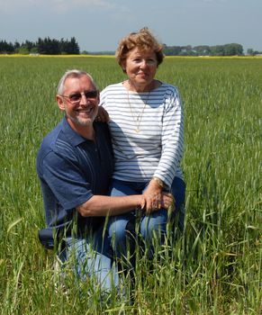 two senior lovers are sitting in a cereal field