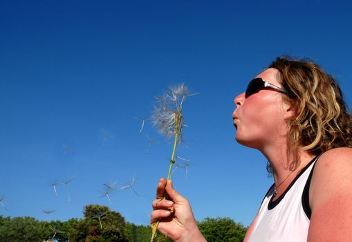 Young attractive woman blowing a dandelion on fields.