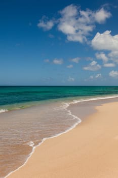 Beautiful Sandy Tropical Beach and Ocean Seascape With Blue Sky Fluffy Clouds and Copy Space