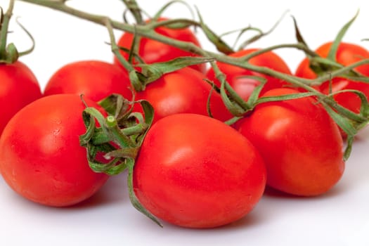 Cherry Tomatoes, on white background