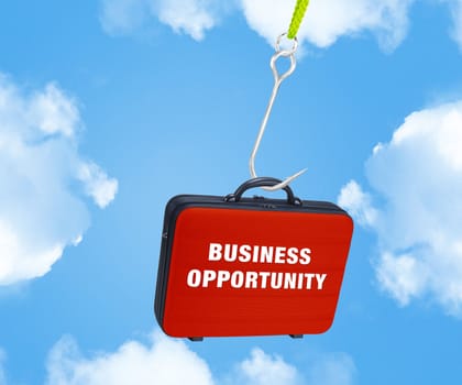 Fishhook catching red case, conceptual image for Business Opprtunity.