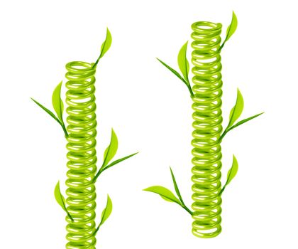 green spring with green leave around.
