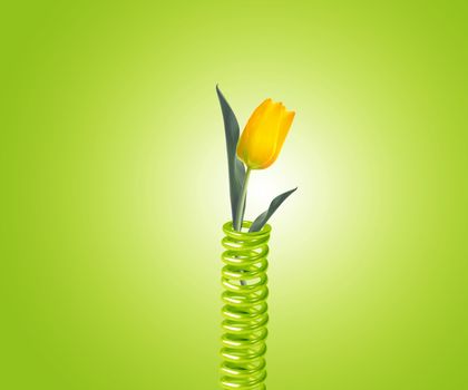 green metal spring with yellow tulip.