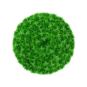 Green ball made from grass isolated on white.