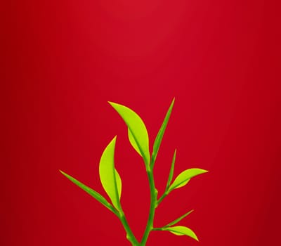 Twig with green leaves over red background.