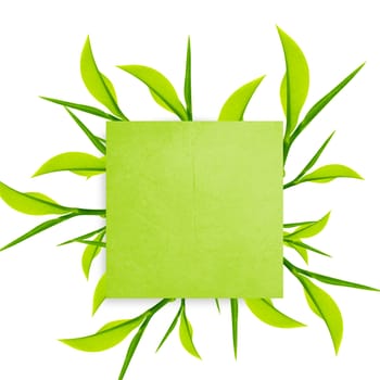Green Note paper with paper clip and green leaves on white background.