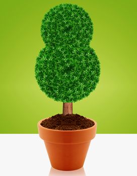 Small green tree in a pot with green background.