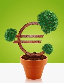 Money tree made of Euro sign, a business concept of growing business and investments